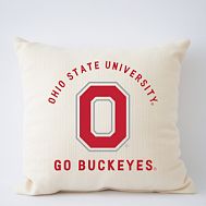 College Pillow - Ohio State University