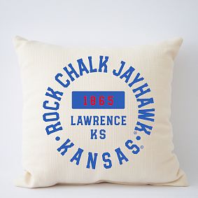 College Filled Pillow