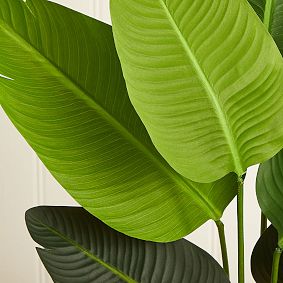 Travelers Palm Artificial Tree