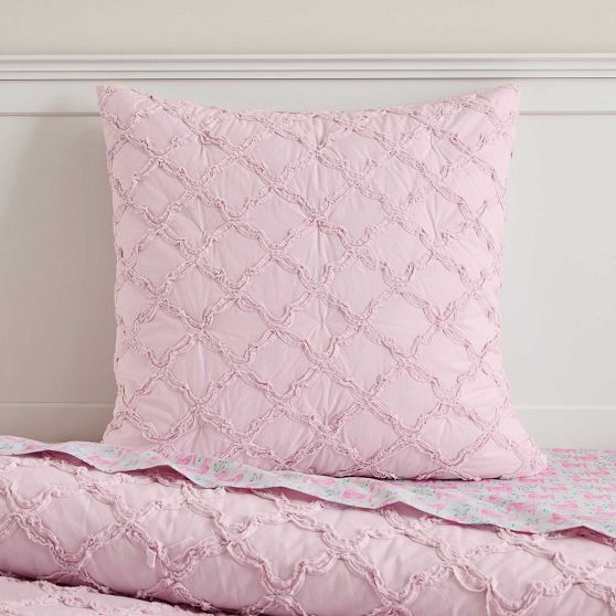 Roller Rabbit Jena Ruffle Euro Sham | Pottery Barn Teen