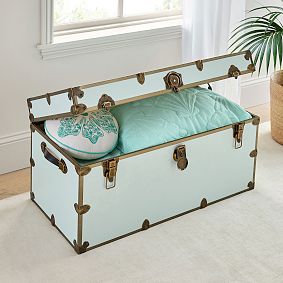 Pink Palm Puff XXL Dorm Trunk (36")