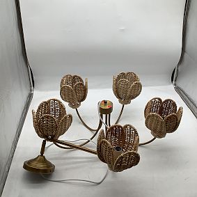 Open Box: Tulip Chandelier - Burnished Brass