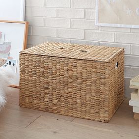 Hudson Woven Trunk
