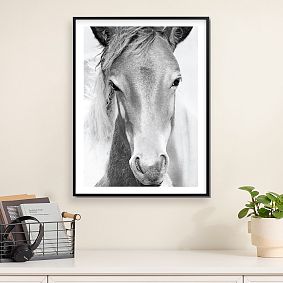 Minted® Wild and Free Framed Art