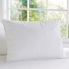 Pottery Barn Teen Essential Down Alternative Pillow Insert