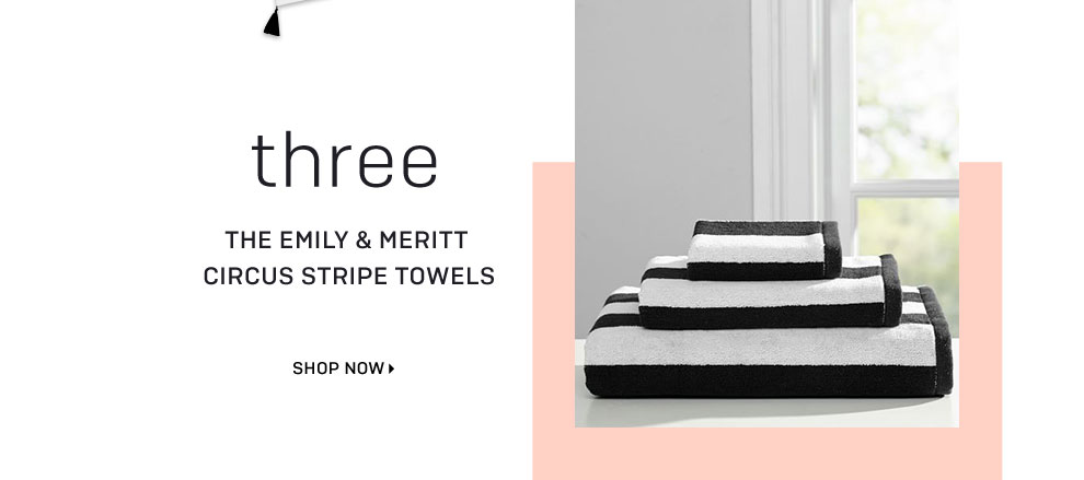 The Emily & Meritt Circus Stripe Towels