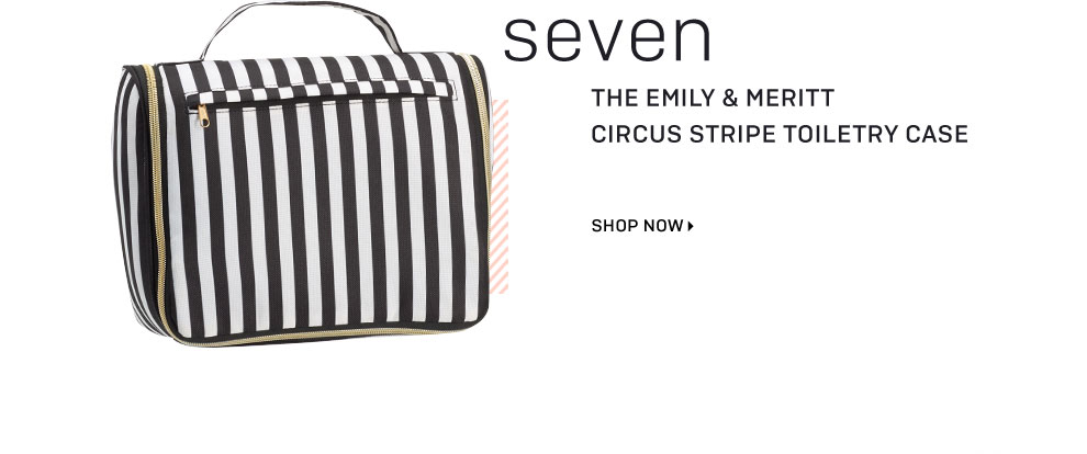 The Emily & Meritt Circus Stripe Toiletry Case