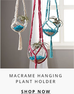 Macrame Hanging Plant Holder