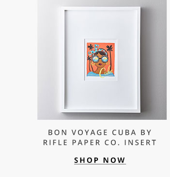 Bon Voyage Cuba Insert