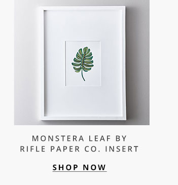Monstera Leaf Insert