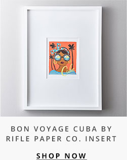 Bon Voyage Cuba Insert
