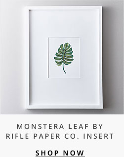 Monstera Leaf Insert
