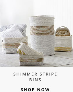 Shimmer Stripe Bins