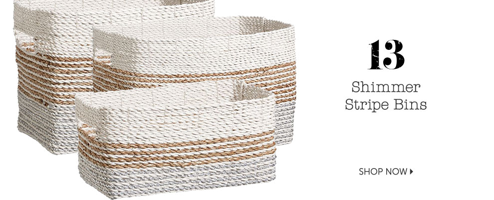 Shimmer Stripe Bins