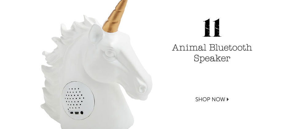 Animal Bluetooth Speaker